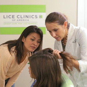 diagnosing head lice